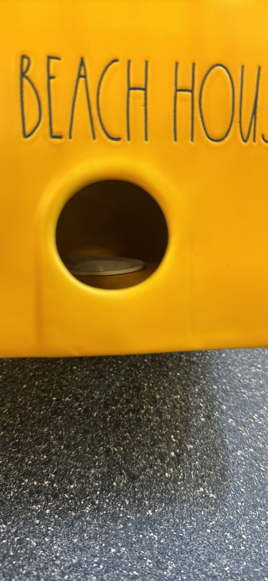 BAE DUNN Bird house